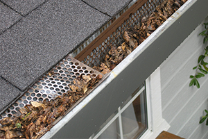 Gutter Guard Example